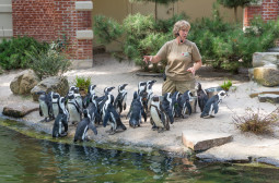 How to Become a Zoologist or Wildlife Biologist